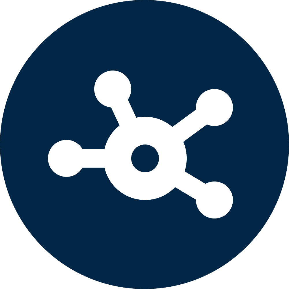 Network icon